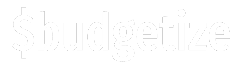 Budgetize Logo
